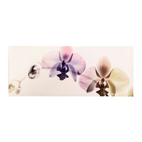Quadro con orchidee Ikea