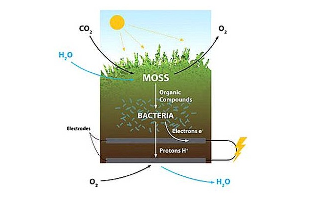 Moss Table processo di energia