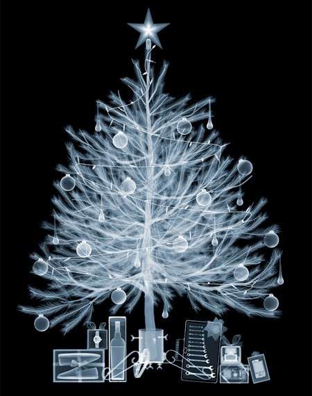 Albero di Natale a raggi x