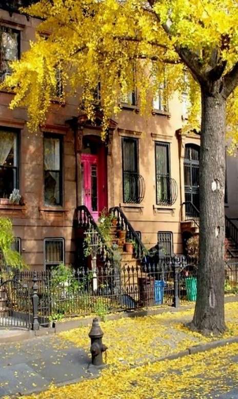 Brooklyn, New York in autunno