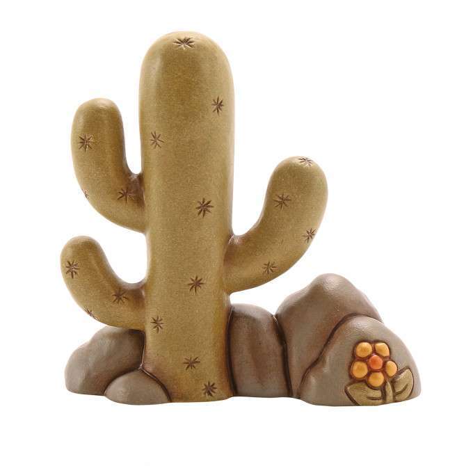 Cactus con cespuglio