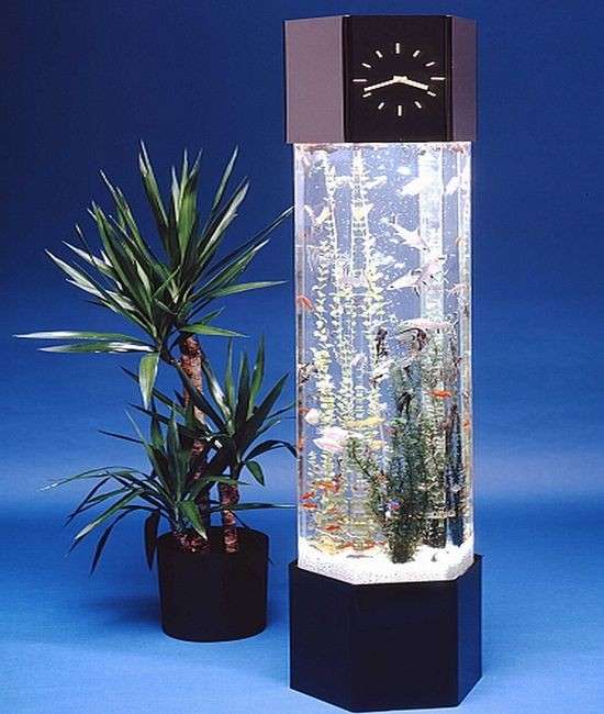 Clock aquarium