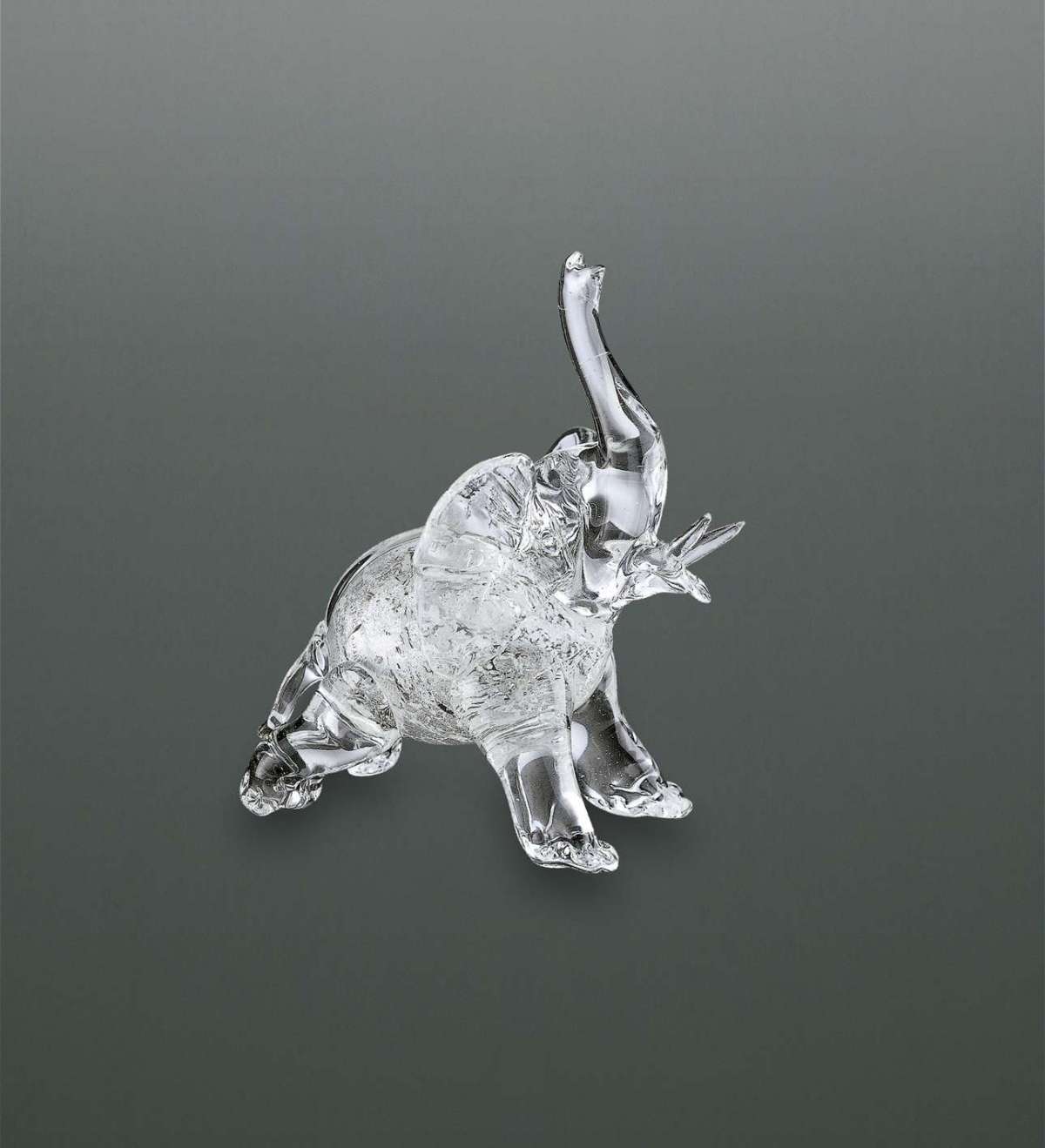 Complemento La Murrina Fauna Elefante