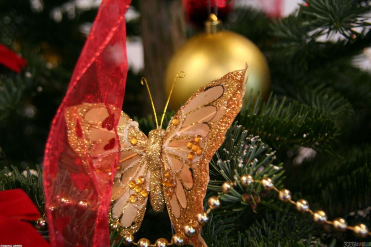 Decorazioni natalizie di design, la farfalla