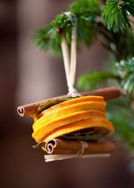 Decorazioni naturali per l'albero