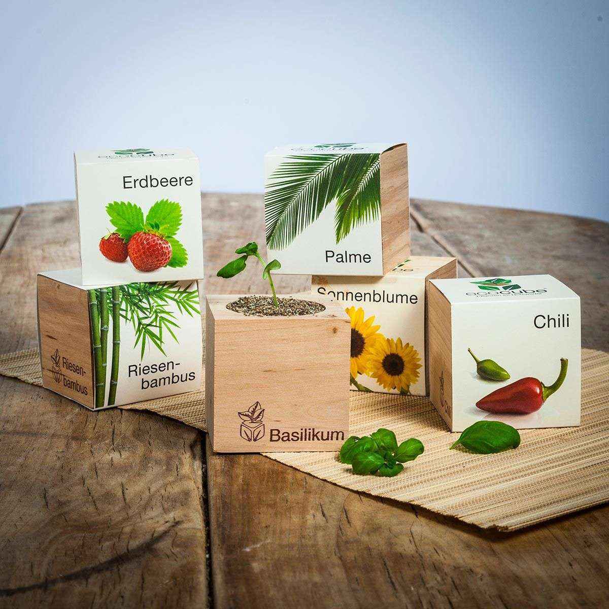 Ecocube, idea regalo per l'amica con il pollice verde