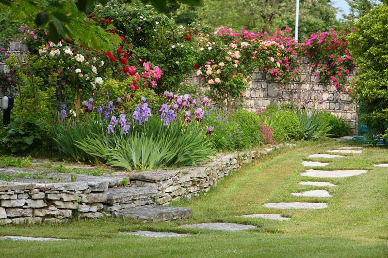 Giardino con fiori