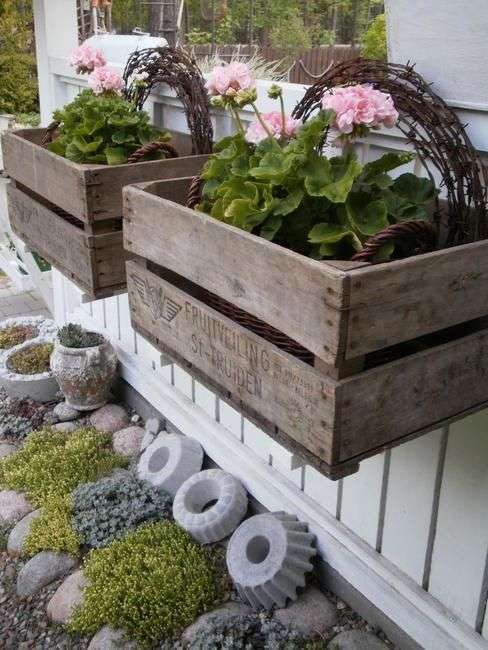Giardino verticale con vecchie cassette