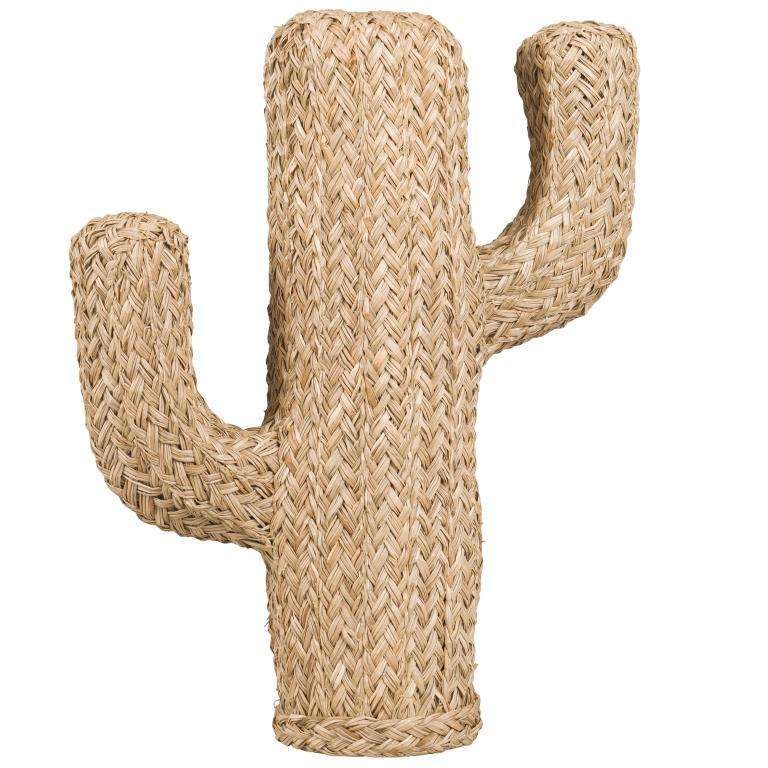 Hacienda, cactus