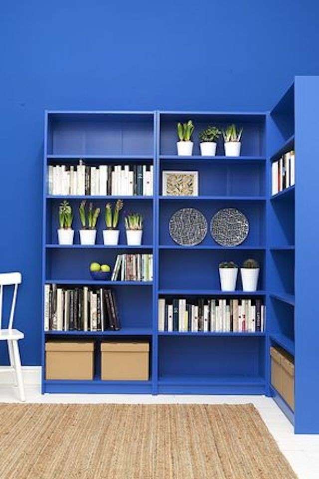 Libreria e parete blu