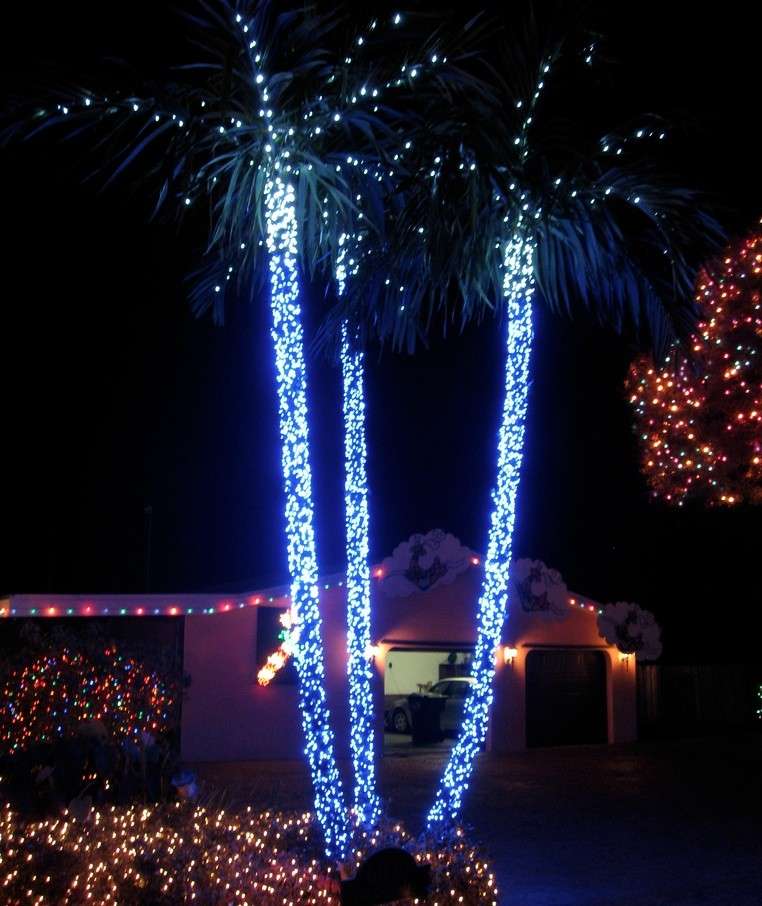 Luci per decorare gli alberi