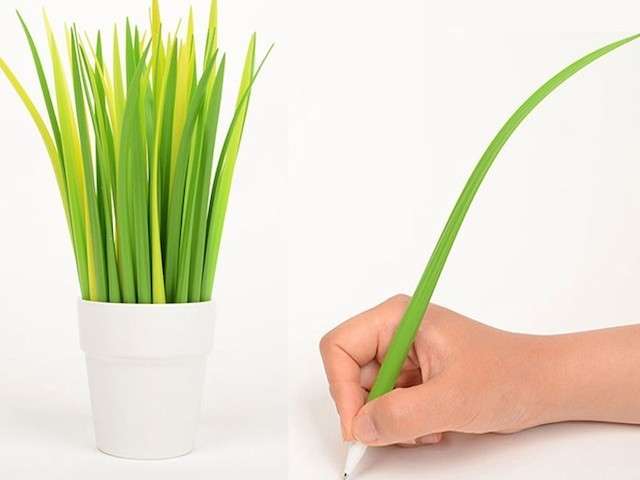 penne-piante