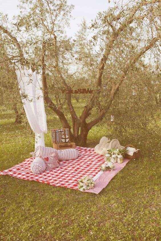 Pic nic all'aria aperta