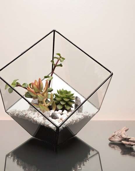 Terrario Aztec Cube by The Urban Botanist