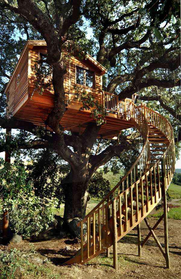 Tree house