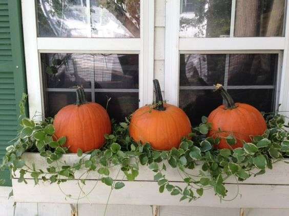 Decorazione LED A Ventosa Per Finestre, Zucca E Foglia D'Acero, Luce Autunnale Per Halloween, IP55