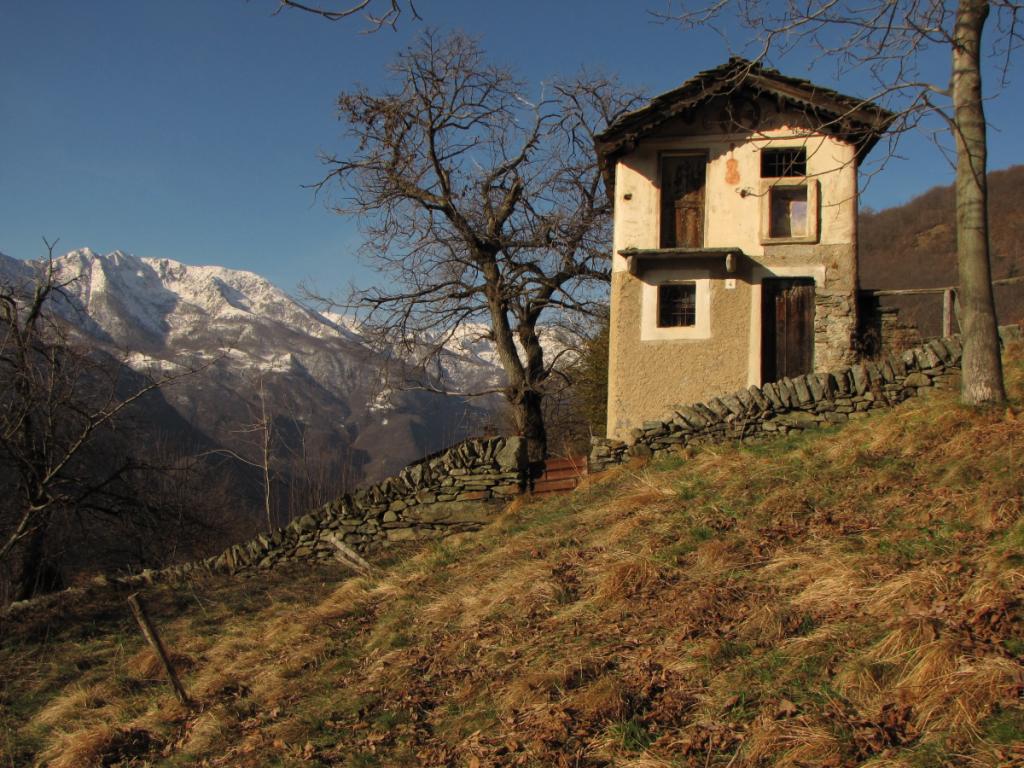 Casa del Violino a Scogna Sottana, La Spezia