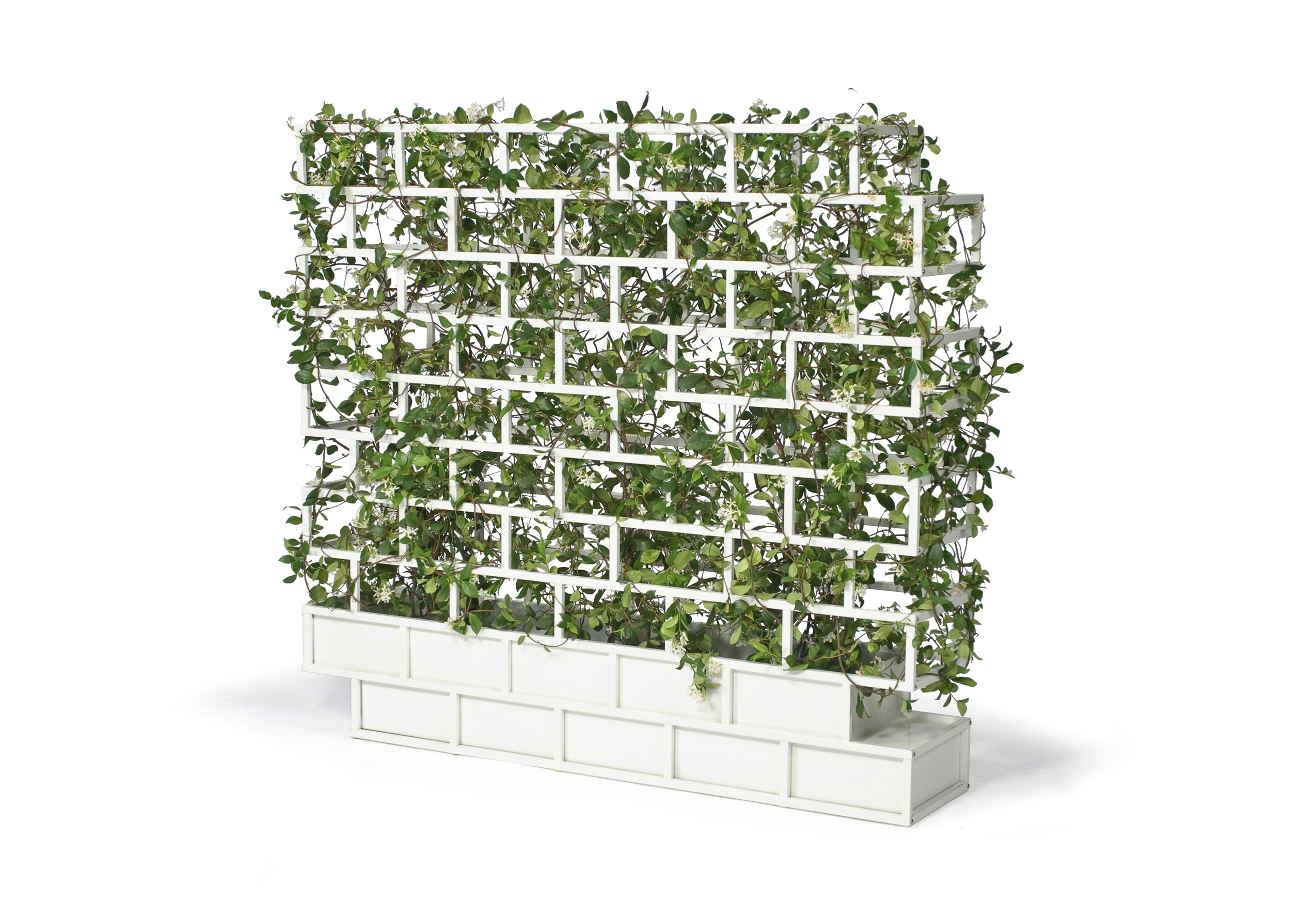 Greenwall di Nautinox Living