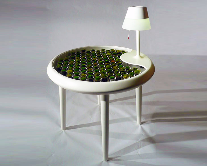 Moss Table