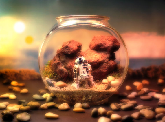 Terrario con R2D2 di Star Wars