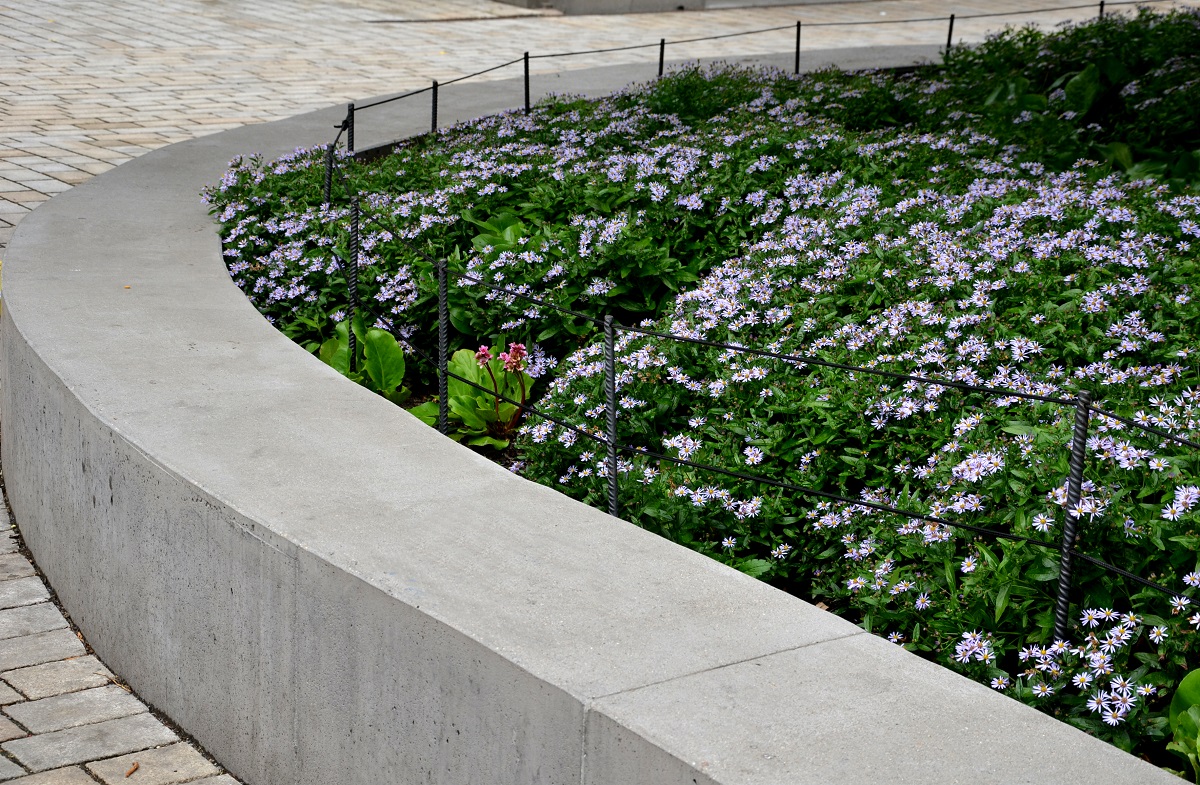 Retaining,Seat,Wall,Made,Of,Pure,Cast,Concrete,Blooms,Purple