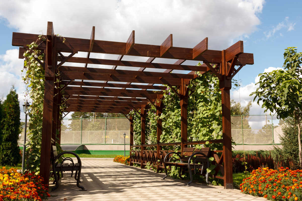 gazebo con pergola da giardino