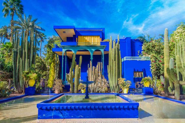 giardino tropicale in marocco con piante grasse verdi e fontana blu