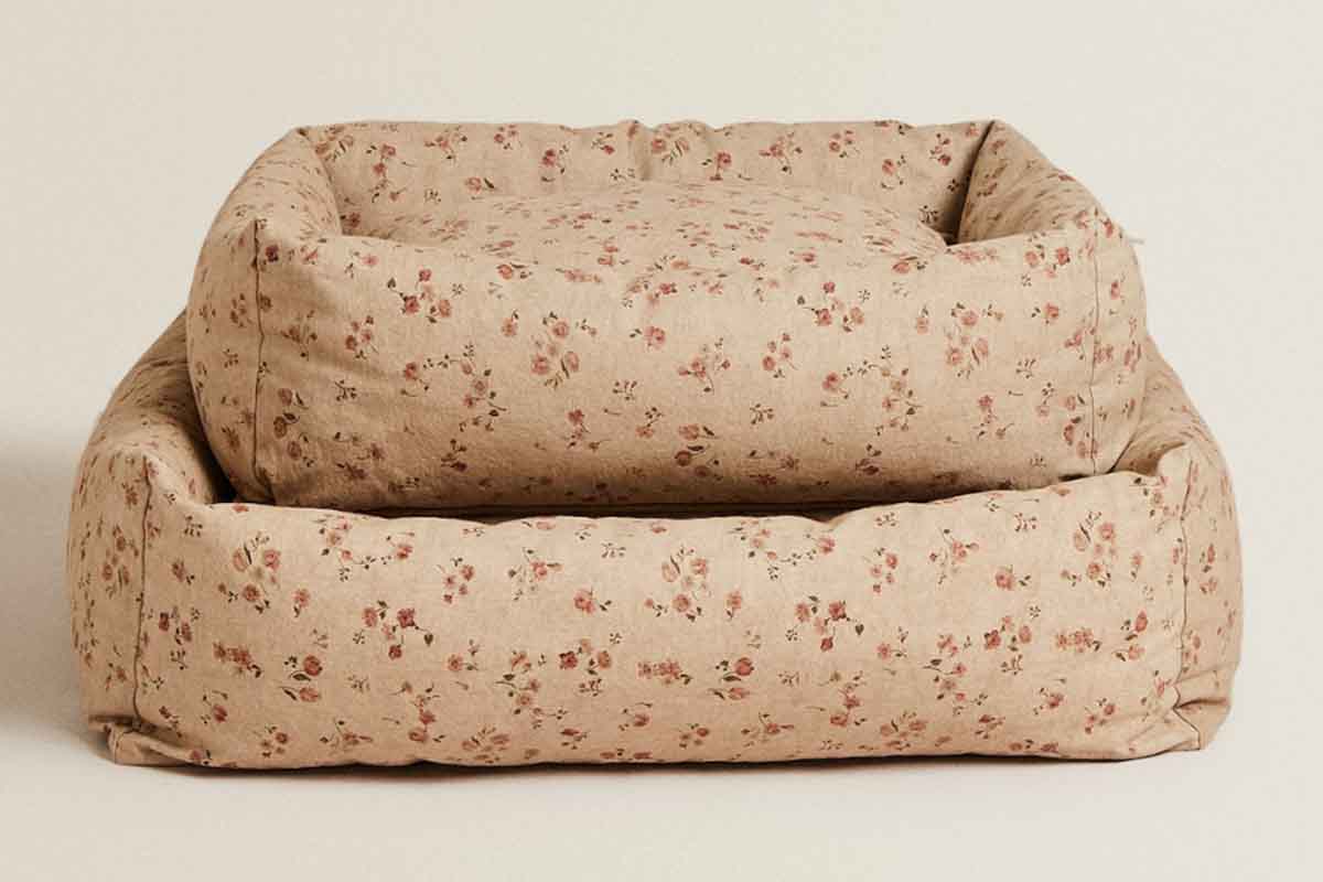 zara pet collection cuccia fiori