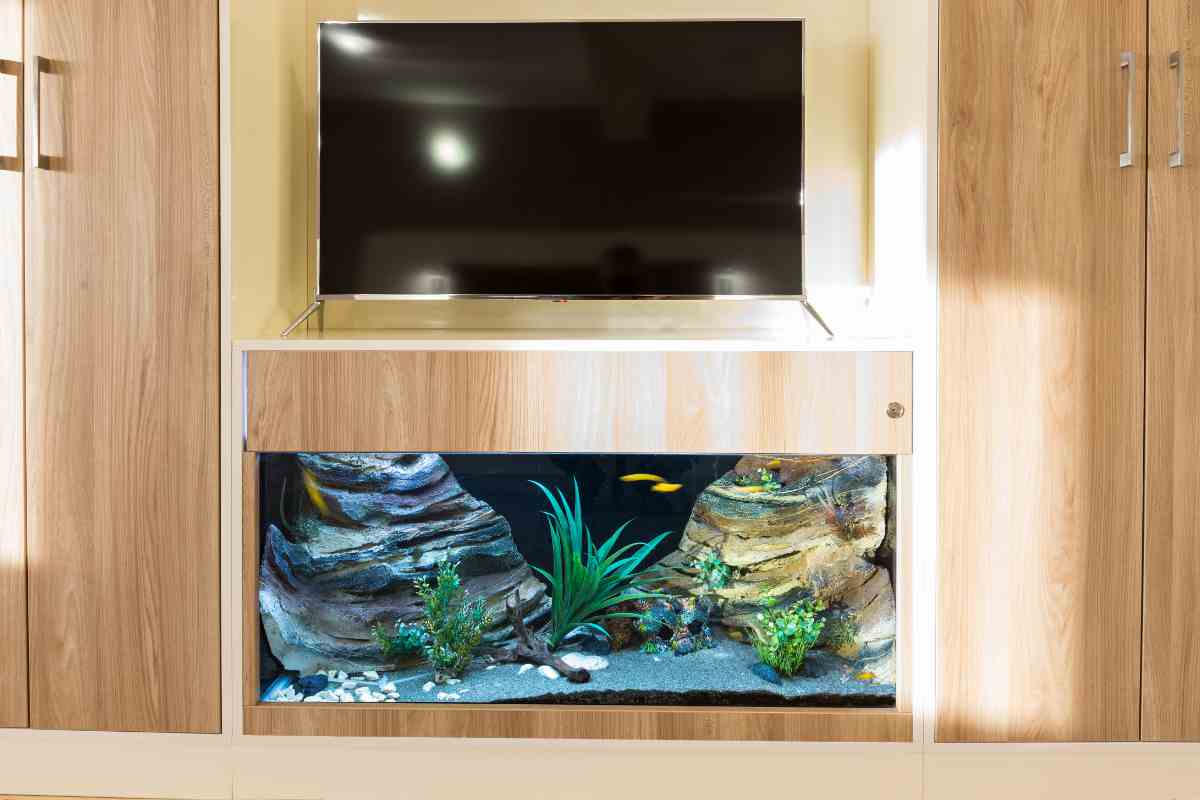 un acquario incassato nel mobile porta tv