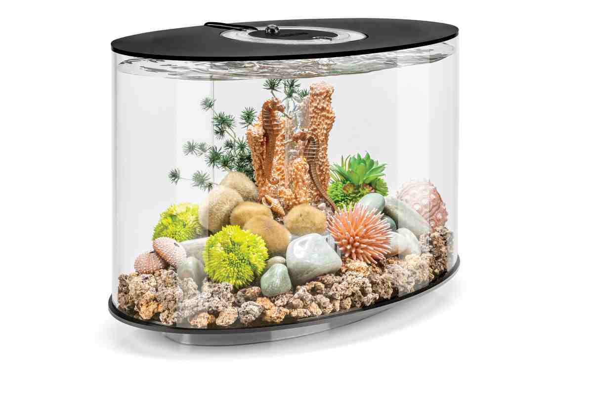 Acquario biOrb