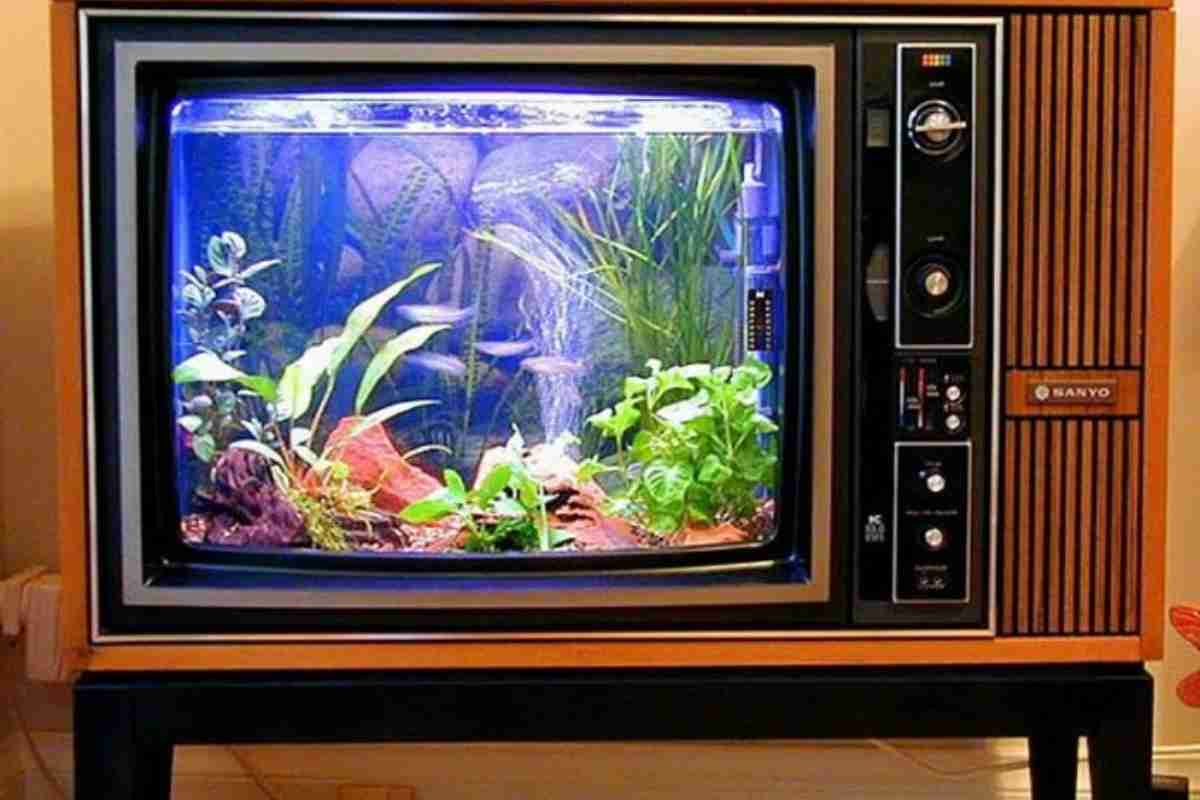 Acquario in un vecchio televisore