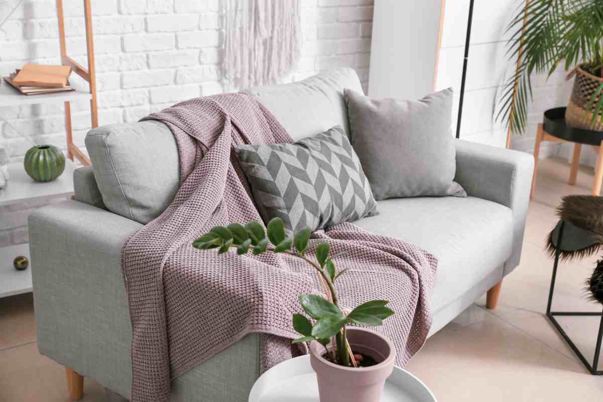 soggiorno arredato con un divano grigio su cui è poggiato un plaid rosa antico e cuscini decorativi con stampe geometriche