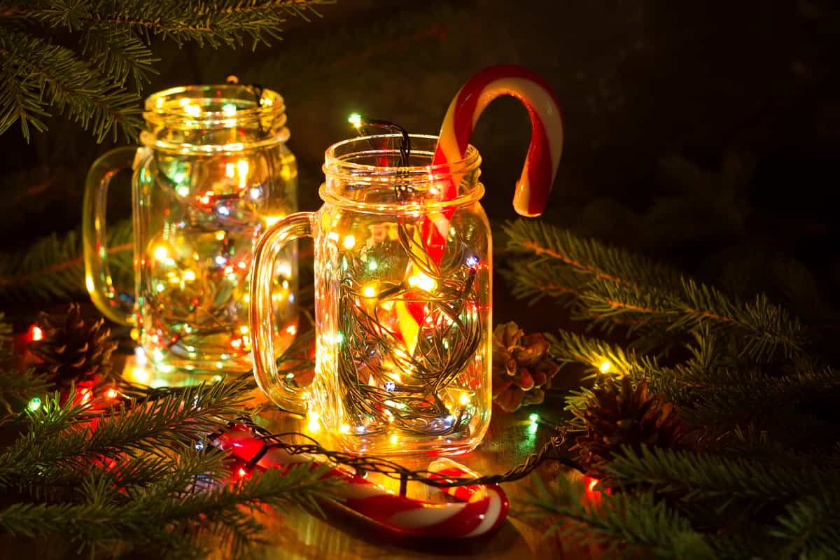 barattoli in vetro con lucine natalizie all'interno poggiate su rami di abete