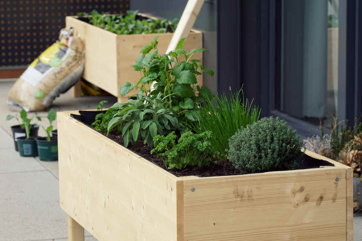 fioriere fatte con casse di legno per l'orto in balcone