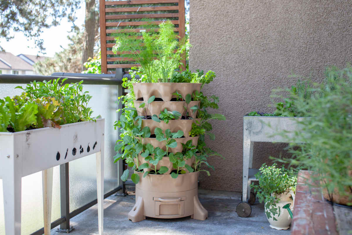 vaso multiplo verticale per coltivare l'orto in balcone o terrazzo