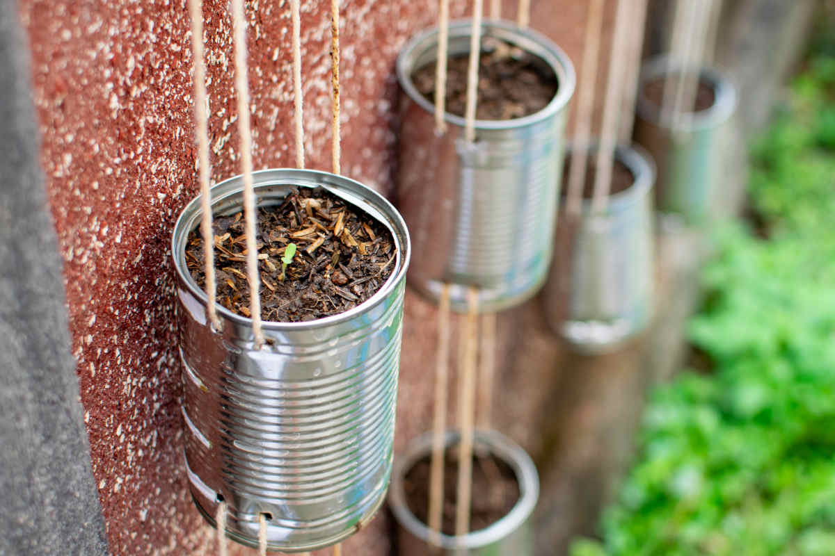 lattine riciclate contenenti piantine per orto su terrazzo
