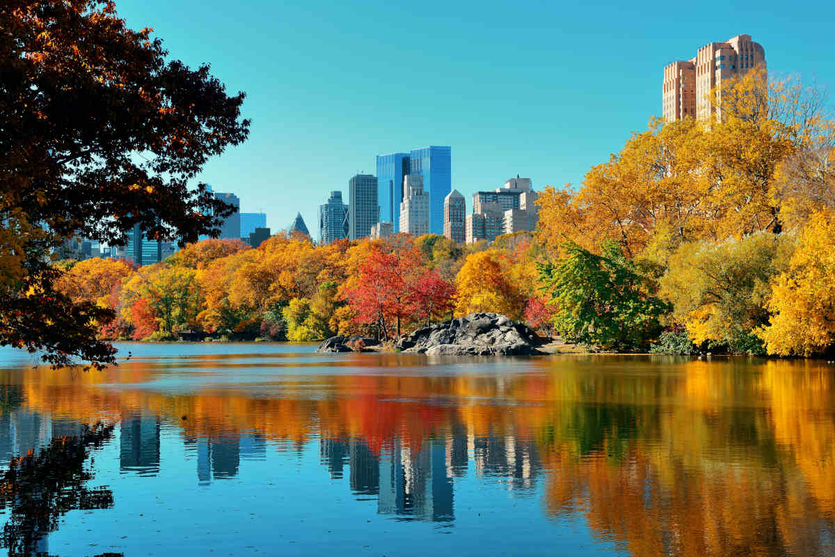 panorama di central park new york