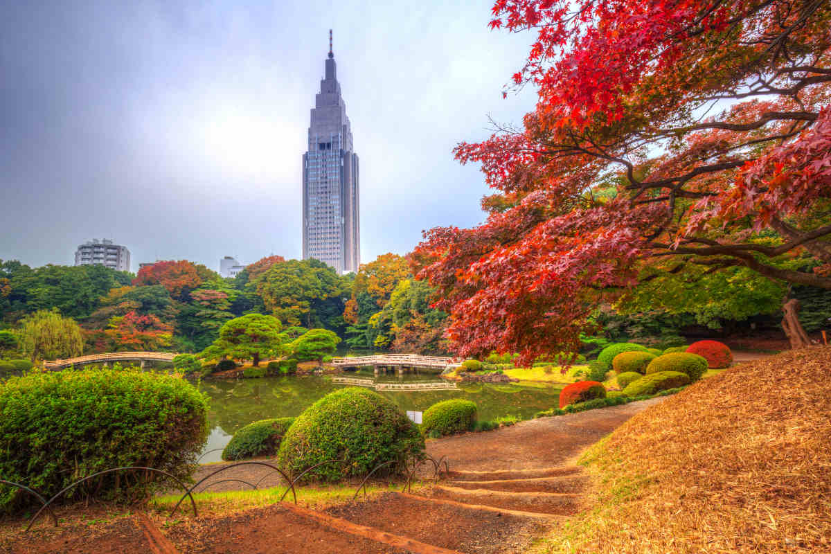 Autunno nel Parco Shinjuku, Tokyo, Giappone