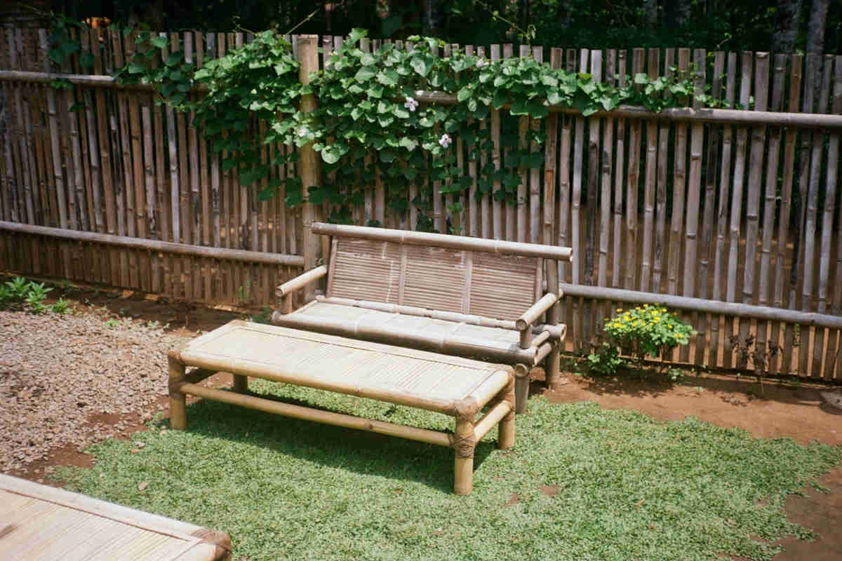 recinzioni giardino con legno e piante