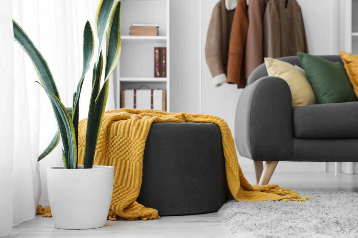 angolo di un salotto con pouf contenitori davanti al divano