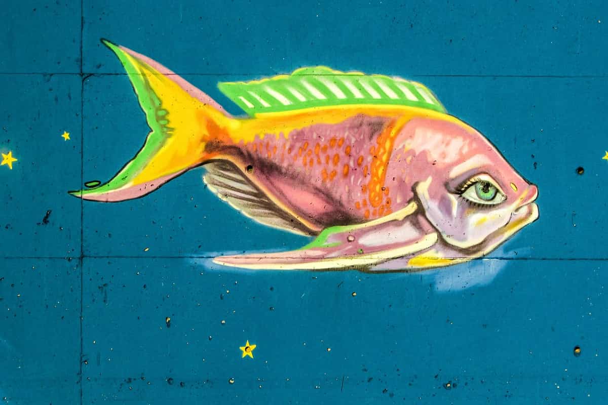 graffito di un pesce colorato su un muro di colore blu