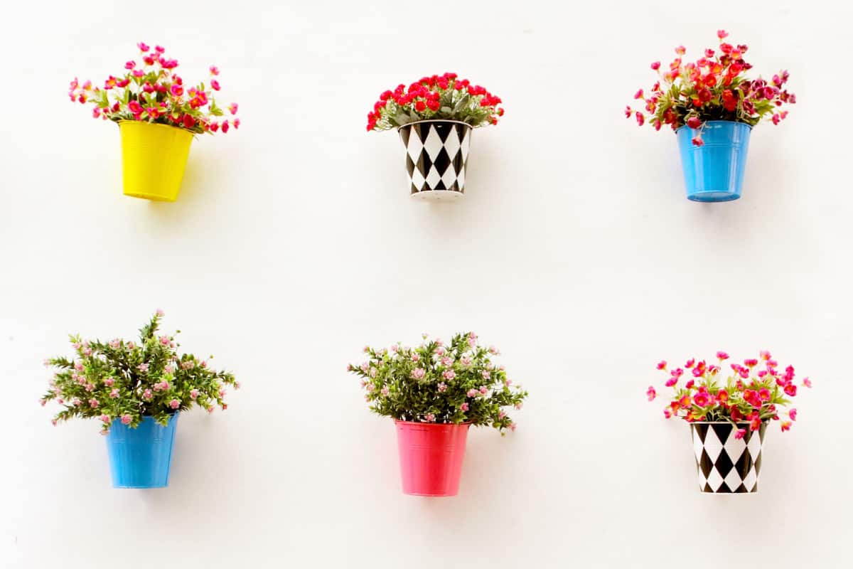 sei vasi colorati appesi su una parete di colore bianco con fiori colorati all'interno