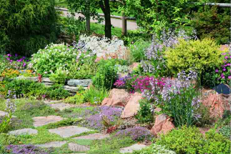 giardino roccioso con pietre di diverse dimensioni e fiori colorati