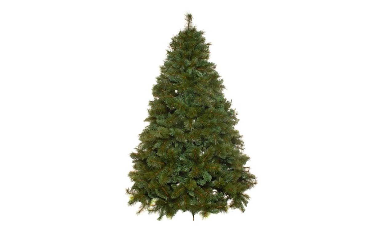 albero di natale di colore verde