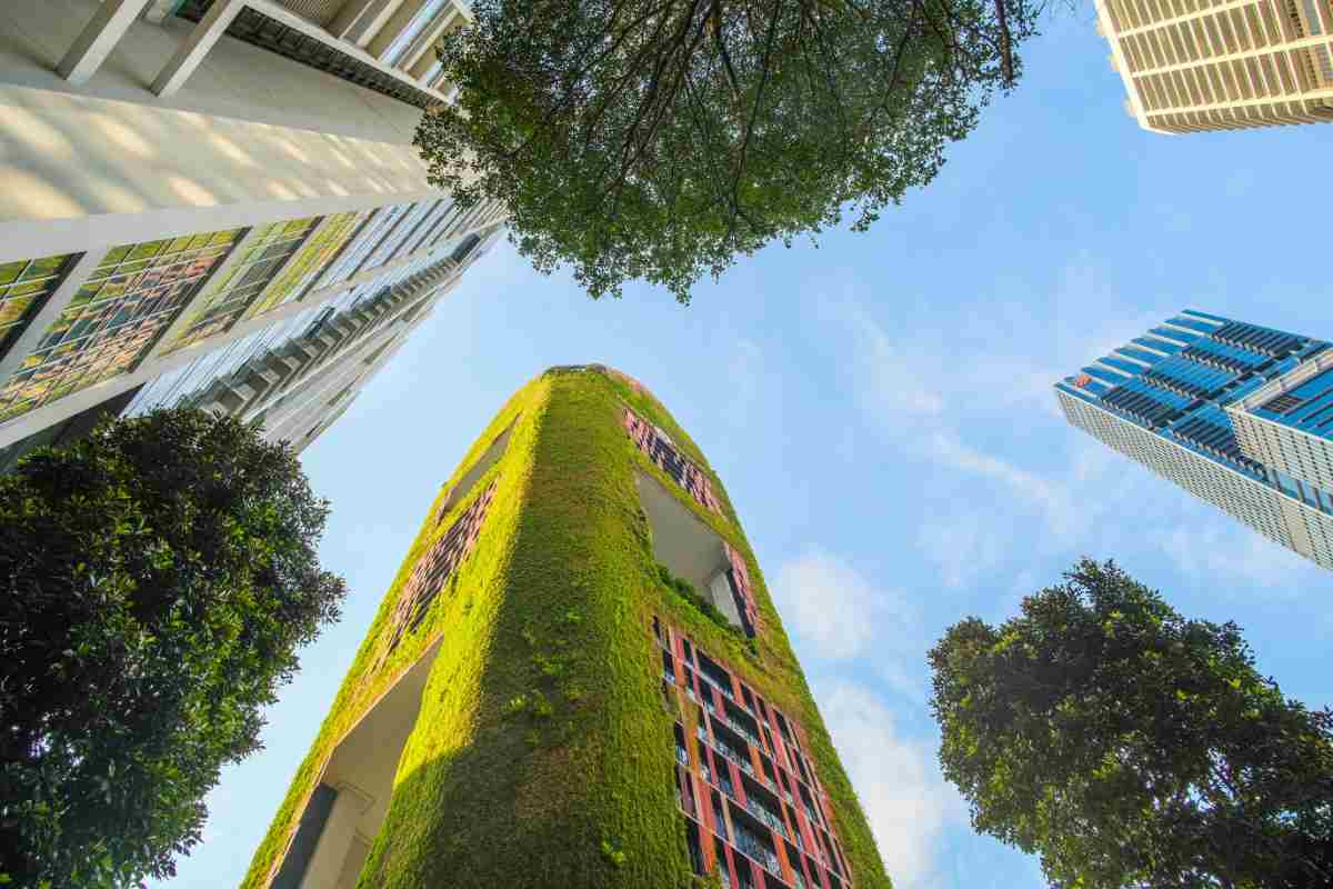 edifici con architettura biofilica visti dal basso