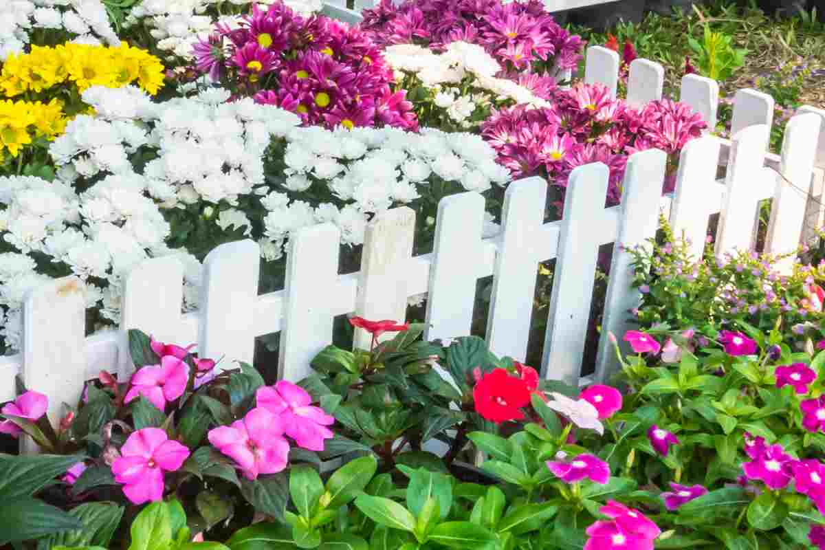 aiuola in legno con fiori colorati