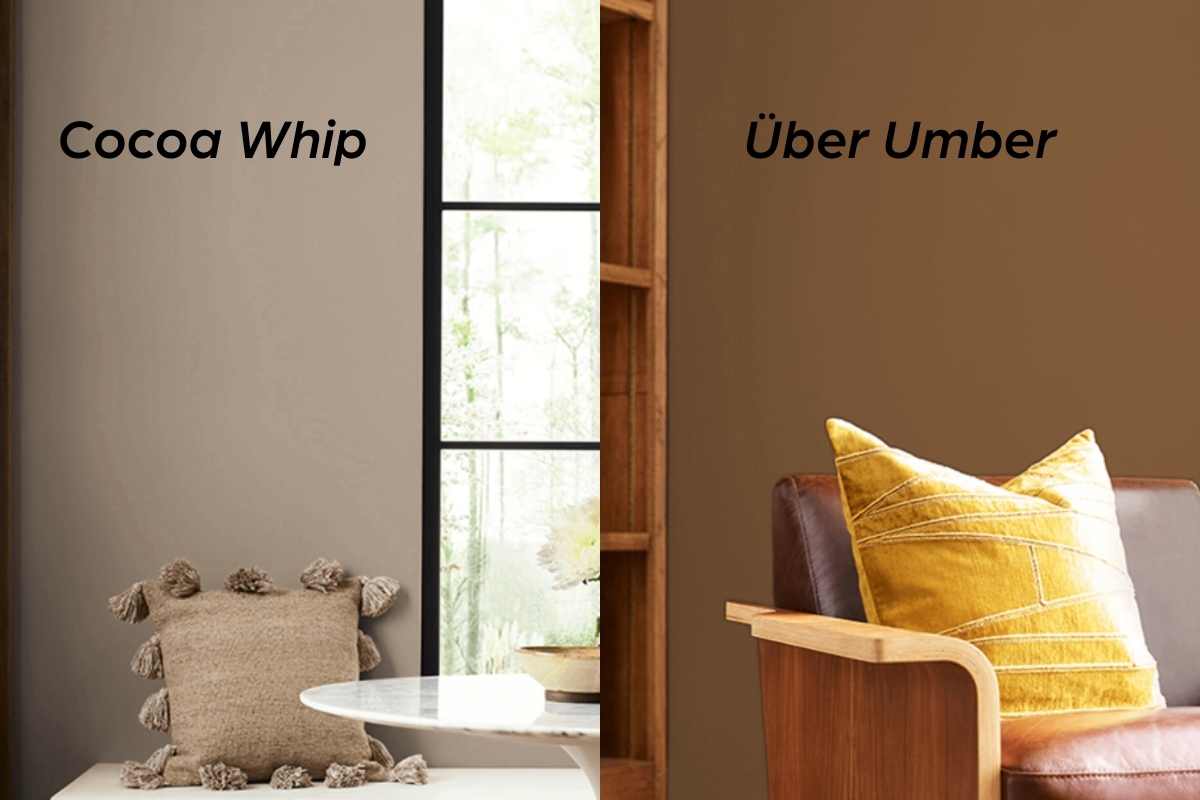 Tonalità cioccolato Sherwin Williams 