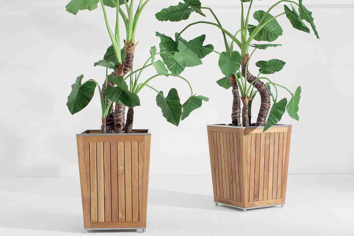 Fioriera in teak Cesto Italy Dream Design