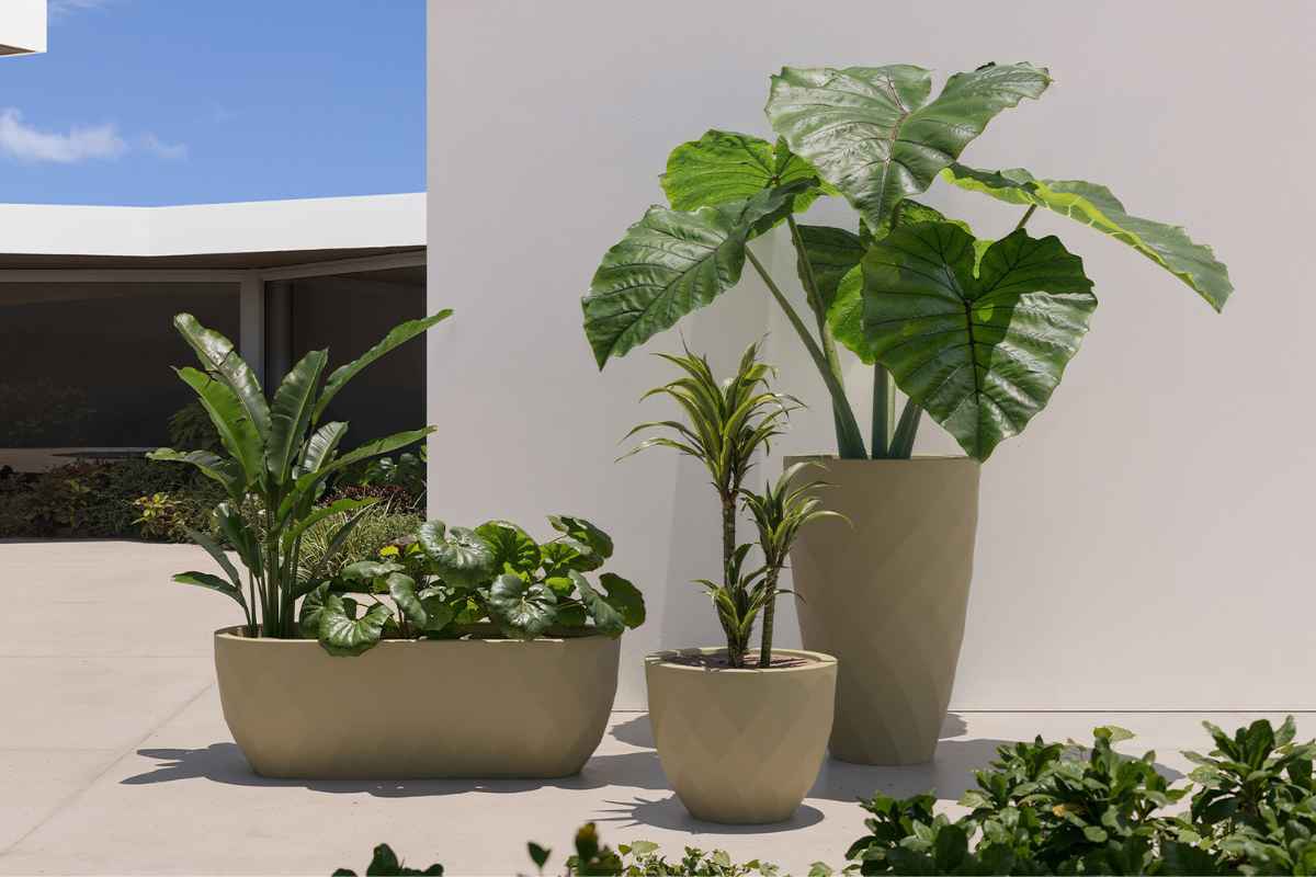 Angolo con vasi da giardino di design di tendenza particolari del brand Vondom