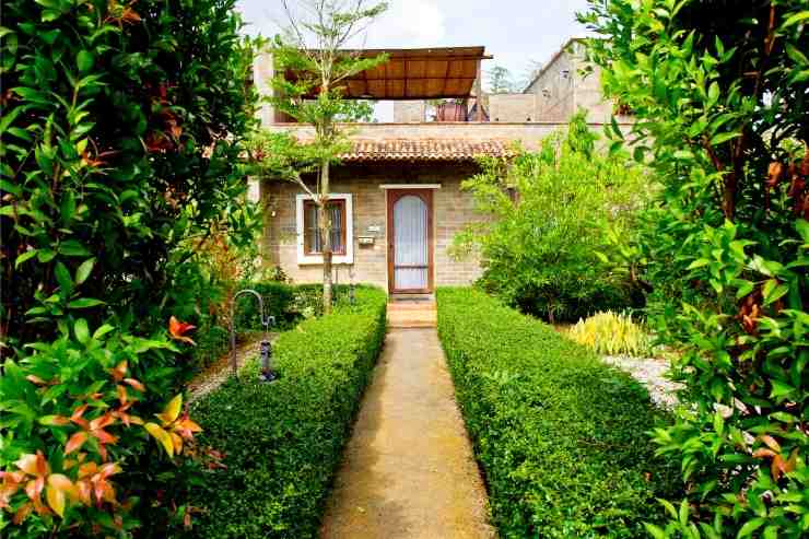 Giardino in stile rustico con siepi e arbusti